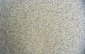 T20 granulát do úmývačiek kolies 20kg